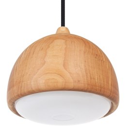 Lampa wisząca ACORN I Hellux