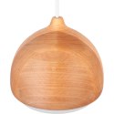 Lampa wisząca ACORN I Hellux