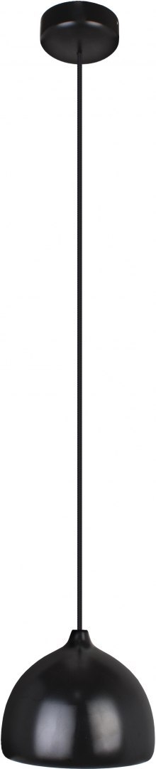 Lampa wisząca czarna ACORN I Hellux