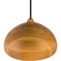Lampa wisząca ACORN II Hellux