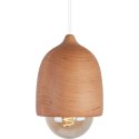 Lampa wisząca Castor Hellux