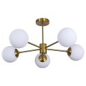 Light Prestige Lampa wisząca Roma 5 złota 5xE14