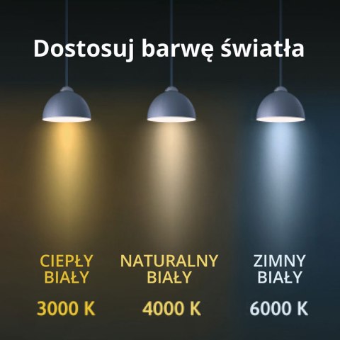 Light Prestige Plafon Platillo 21 cm złoty LED CCT