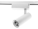 Light Prestige Zestaw oświetlenia szynowego Rocca SET 1F biały 3xLED 4000K