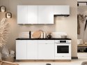Szafka dolna pod płytę D60PC ELLEN 06 dąb artisan / biała alaska