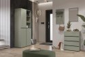 Szafa uchylna CROSI 88 zielony / czarny