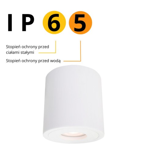 Light Prestige Faro XL oprawa natynkowa biała