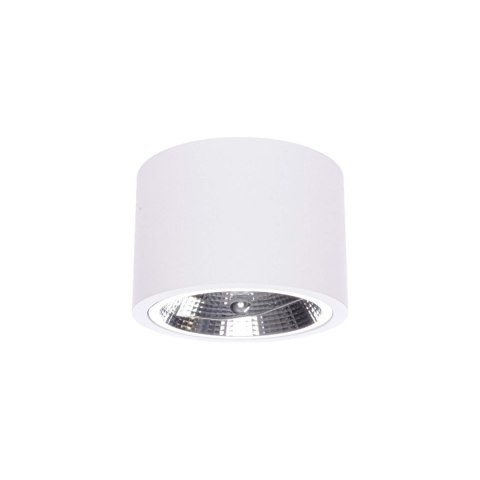 Light Prestige Oprawa natynkowa Camino biała 1xES111