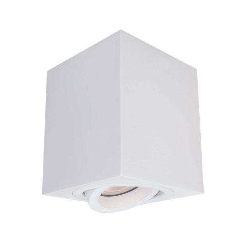 Light Prestige Oprawa natynkowa Lyon biała 1xGU10