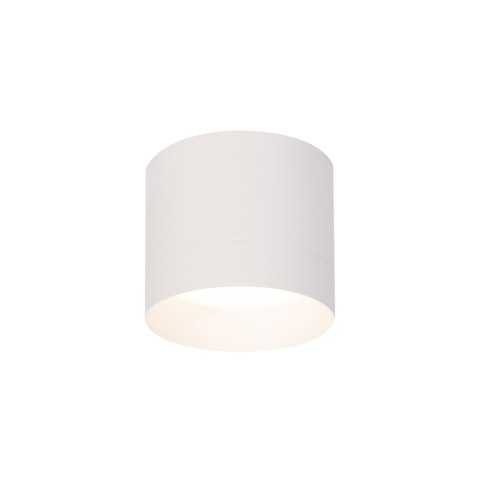 Light Prestige Oprawa natynkowa Kendal L biała GX53