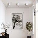 Light Prestige Oprawa natynkowa Kendal biała IP65 GX53