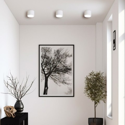Light Prestige Oprawa natynkowa Kendal biała IP65 GX53