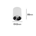 Light Prestige Oprawa natynkowa Tom biała LED CCT