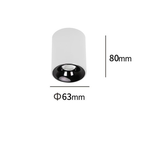 Light Prestige Oprawa natynkowa Tom biała LED CCT
