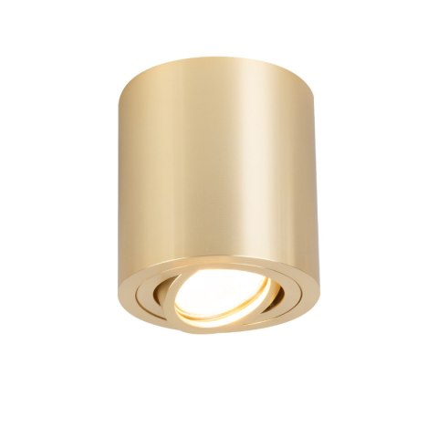 Light Prestige Oprawa natynkowa Tulon złota 1xGU10