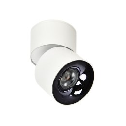 Light Prestige Ruchoma oprawa natynkowa Brema biała LED CCT