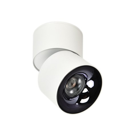 Light Prestige Ruchoma oprawa natynkowa Brema biała LED CCT