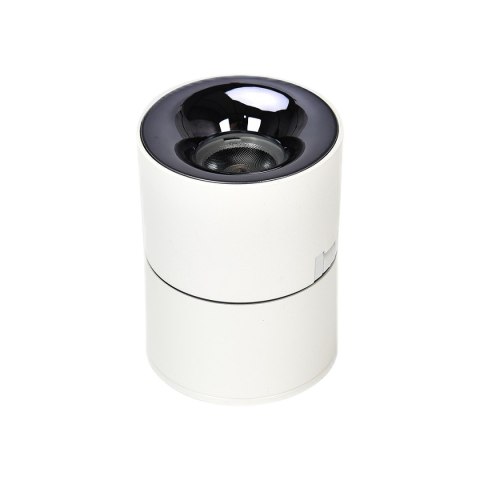 Light Prestige Ruchoma oprawa natynkowa Brema biała LED CCT