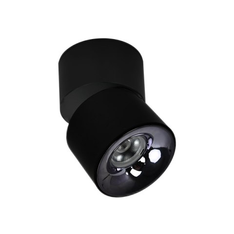 Light Prestige Ruchoma oprawa natynkowa Brema czarna LED CCT