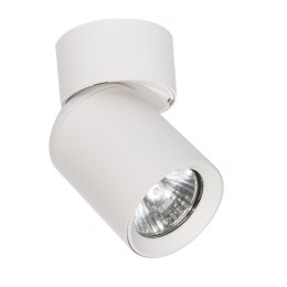Light Prestige Pointa 1 spot biały 1xGU10