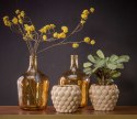 ALURO_Roślina szt.-Callicarpa żółta