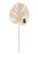 ALURO_Roślina szt.-Monstera