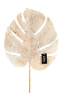 ALURO_Roślina szt.-Monstera