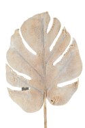 ALURO_Roślina szt.-Monstera