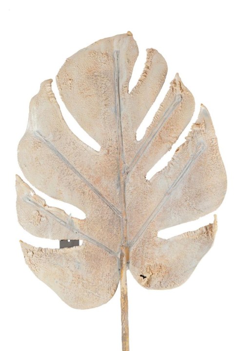 ALURO_Roślina szt.-Monstera