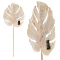 ALURO_Roślina szt.-Monstera