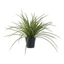 Sztuczna trawa w czarnej donicy 45cm