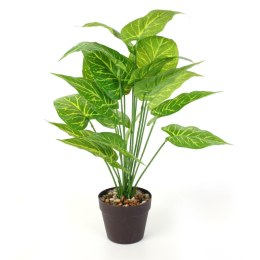 Sztuczna roślina Alocasia 55cm