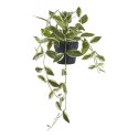 Sztuczna roślina Hoya 33 cm