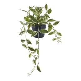 Sztuczna roślina Hoya 33 cm