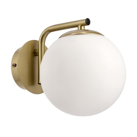 AMADEO lampa kinkiet mosiężny 1x40W E14 klosz biały