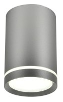 TUBA LAMPA SUFITOWA 1X15W GU10 6,8/10 SREBRNY MATOWY