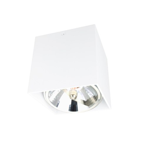 Light Prestige Oprawa natynkowa Aliano biała 1xG9