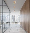 TUBA LAMPA SUFITOWA 1X15W GU10 7,9/10 DREWNIANY