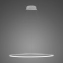 Lampa wisząca Ledowe Okręgi No.1 80cm 3k srebrna Dali
