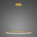 Lampa wisząca Ledowe Okręgi No.1 80cm 3k złota Dali