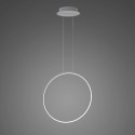 Lampa wisząca Ledowe Okręgi No.1 X 60cm 4k srebrna Dali