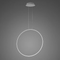 Lampa wisząca Ledowe Okręgi No.1 X 80cm 4k srebrna Dali