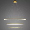 Lampa wisząca Ledowe Okręgi No.3 Φ100 cm in 2700k złota