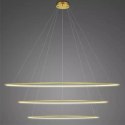 Lampa wisząca Ledowe Okręgi No.3 230cm 3k złota