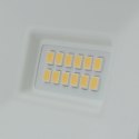 NAŚWIETLACZ Z CZUJNIKIEM RUCHU BIAŁY 10W NEUTRALNY 4000K