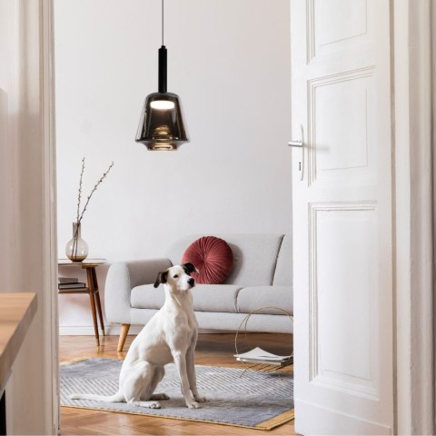 BUENO lampa wisząca czarny 1x9W GX53 klosz bezbarwny+dymiony