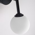Light Prestige Kinkiet Dorado czarny 1xG9