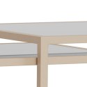 Zestaw 2 stolików kawowych Seaford szkło/kaszmir ( Rozmiar: uniwersalny )