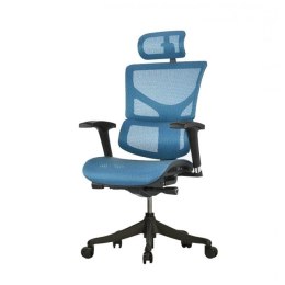 Fotel biurowy ergonomiczny Sail Niebieski Niebieski
