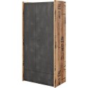Szafa 2D1S FARGO FG-02 canion / raw steel